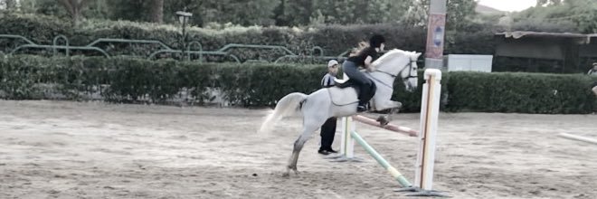 Faraah215's profile banner image