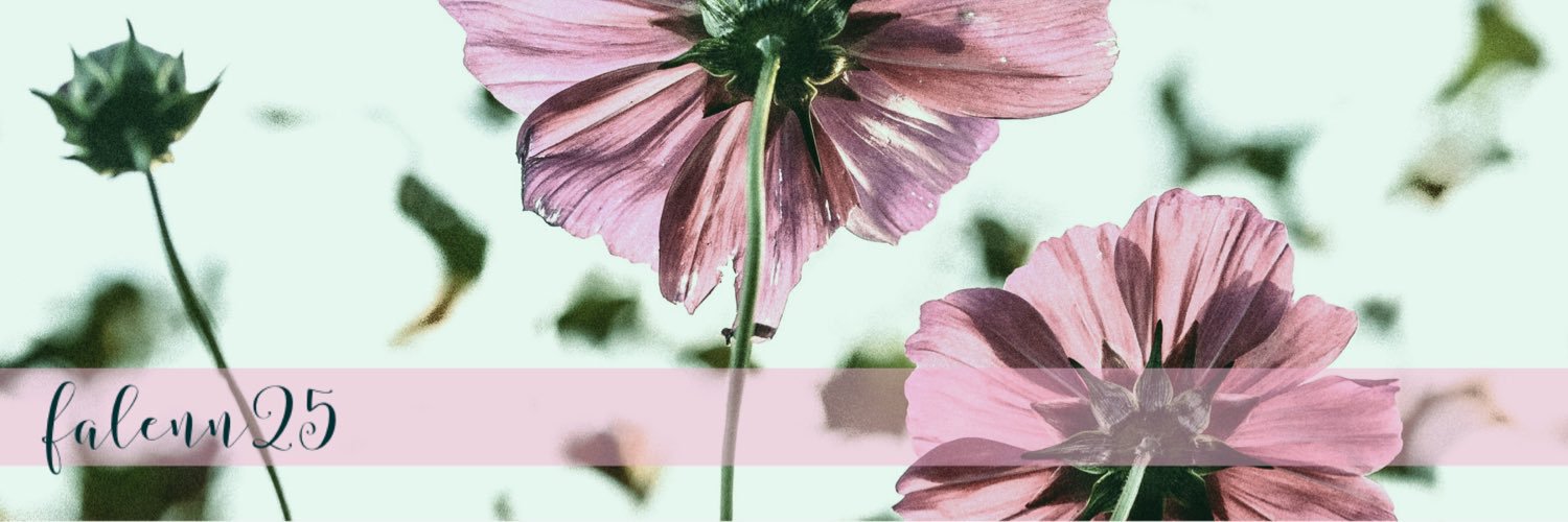 Falenn25's profile banner image