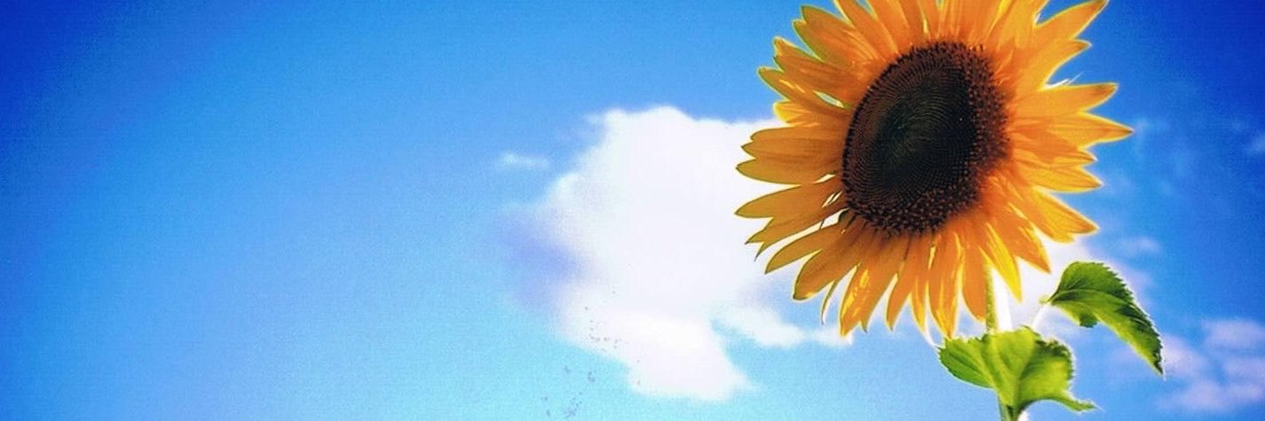 ojipuri4's profile banner image