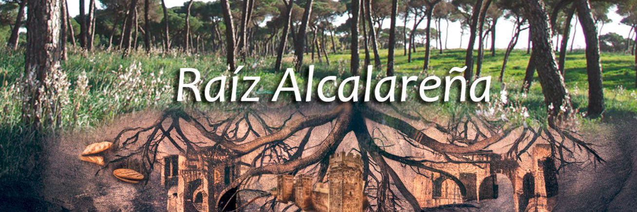 C.D. Alcalá banner