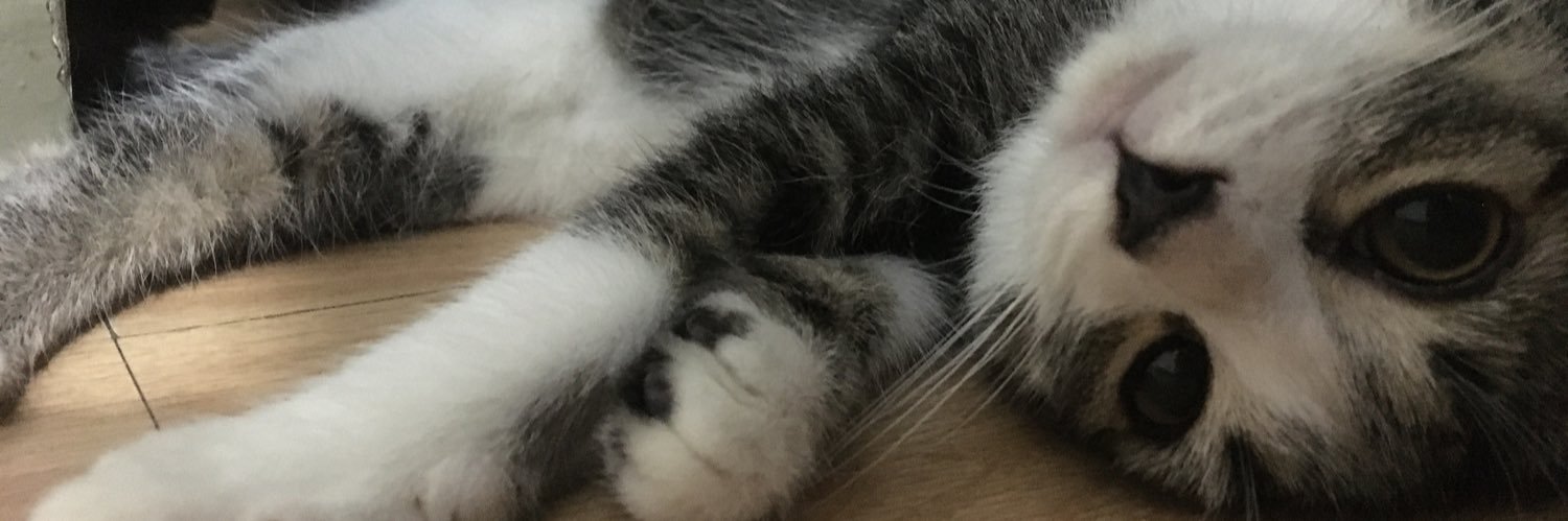 pugetss's profile banner image