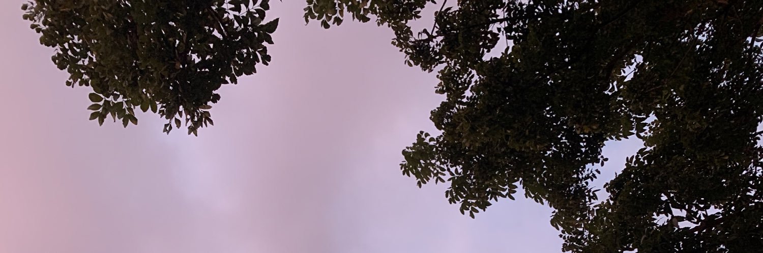 adtarroza's profile banner image