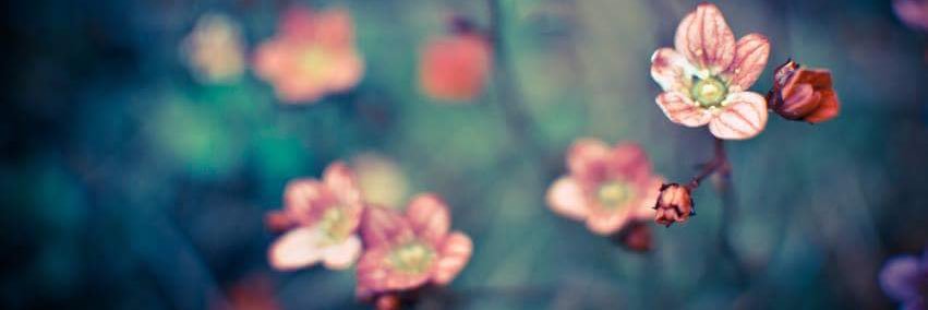 Trezie__'s profile banner image