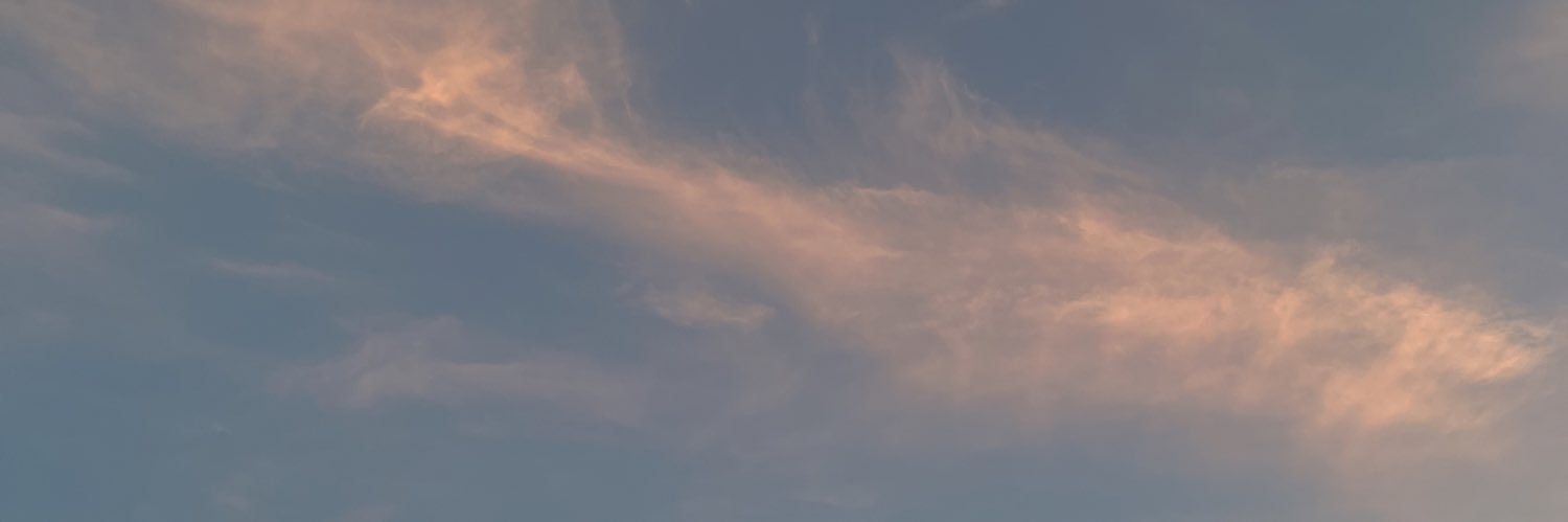 sprinklesofdida's profile banner image