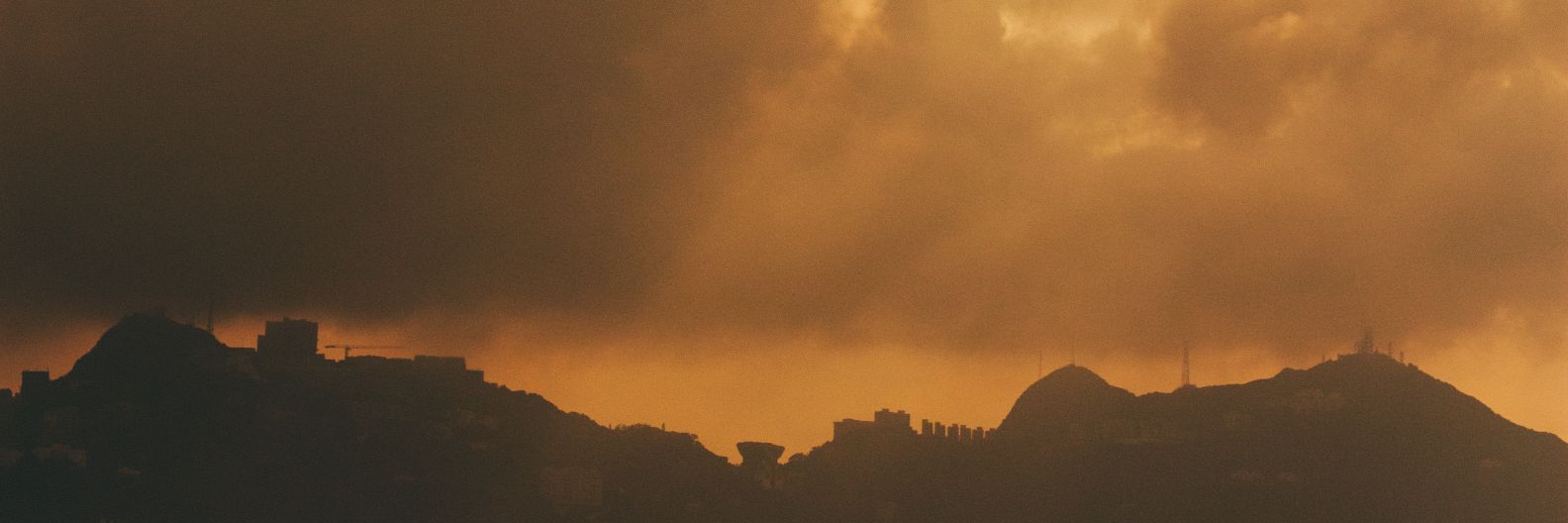 domingobutch's profile banner image