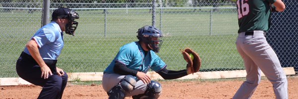BluesFastpitch Profile Banner