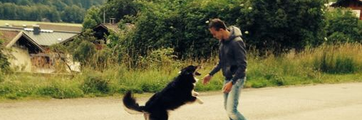 Rob_Van_Erven's profile banner image
