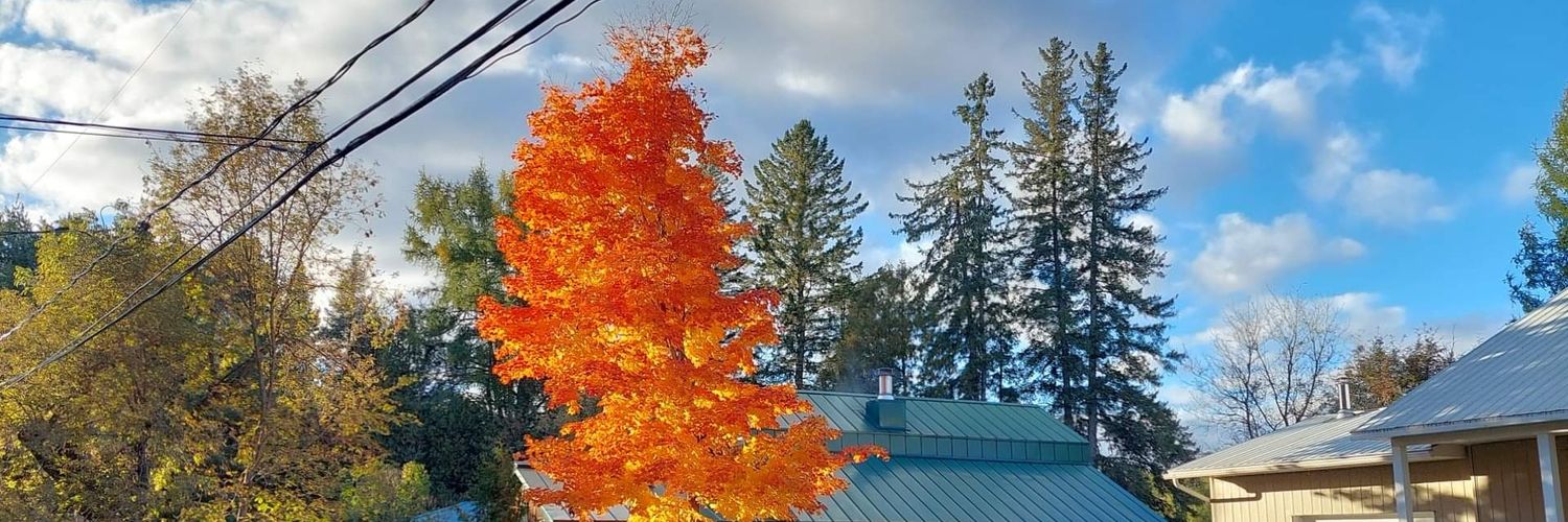 🇨🇦 Martin Laurence 🍄 banner