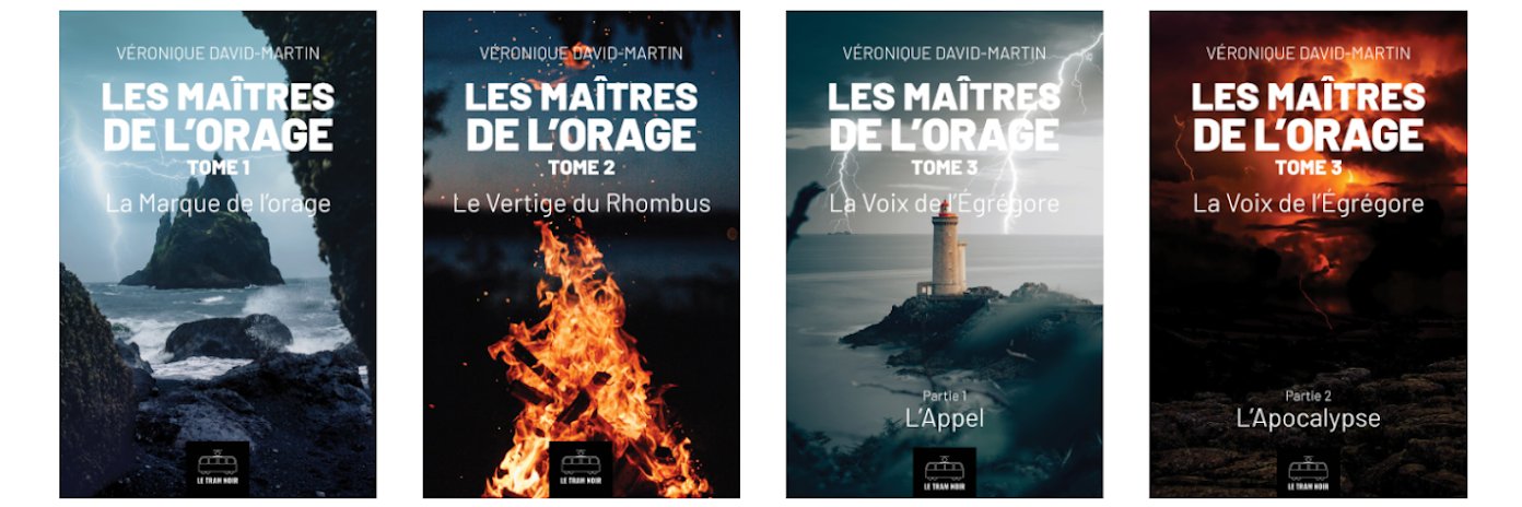 V. 🇫🇷🇬🇧🇪🇺🇺🇦 PhD @inlimbov.bsky.social banner