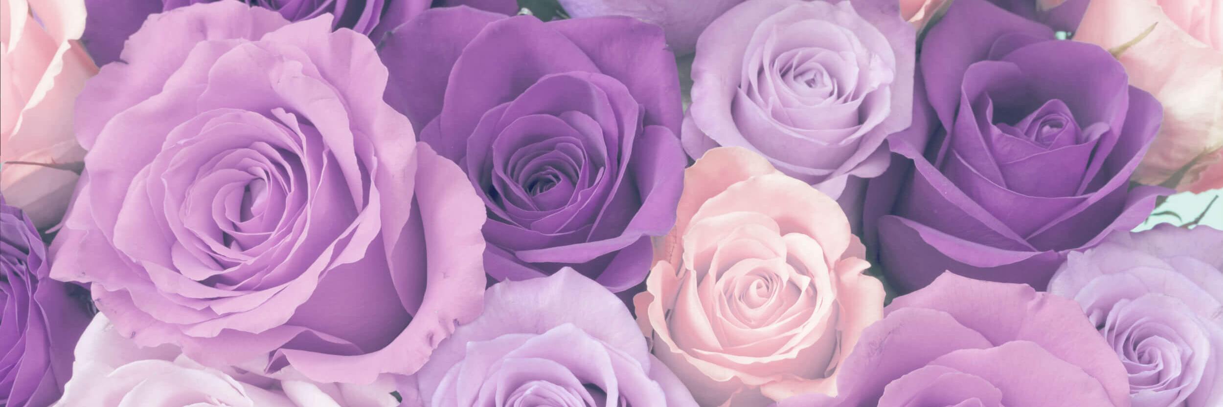 giannaganther's profile banner image