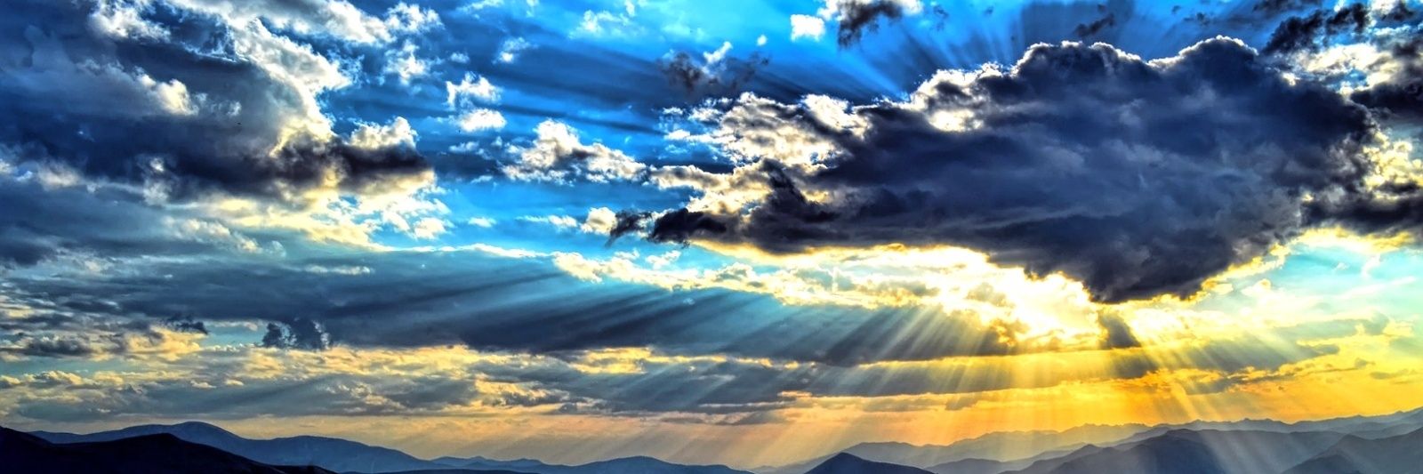 Elaine Briggs banner