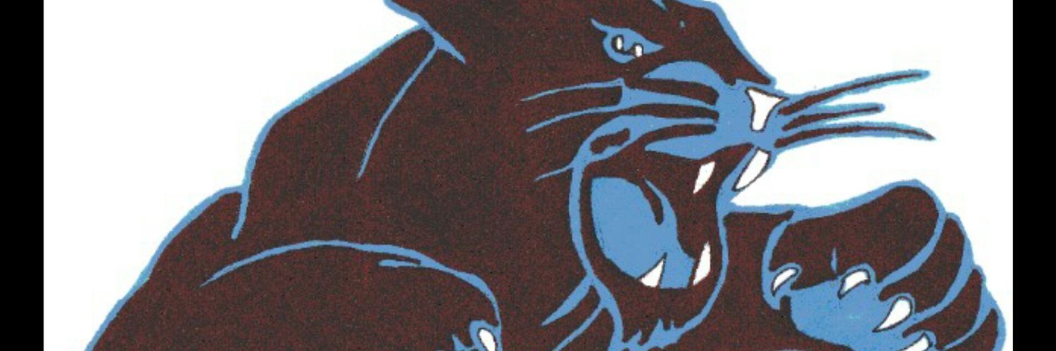 PanthersASCheer's profile banner image