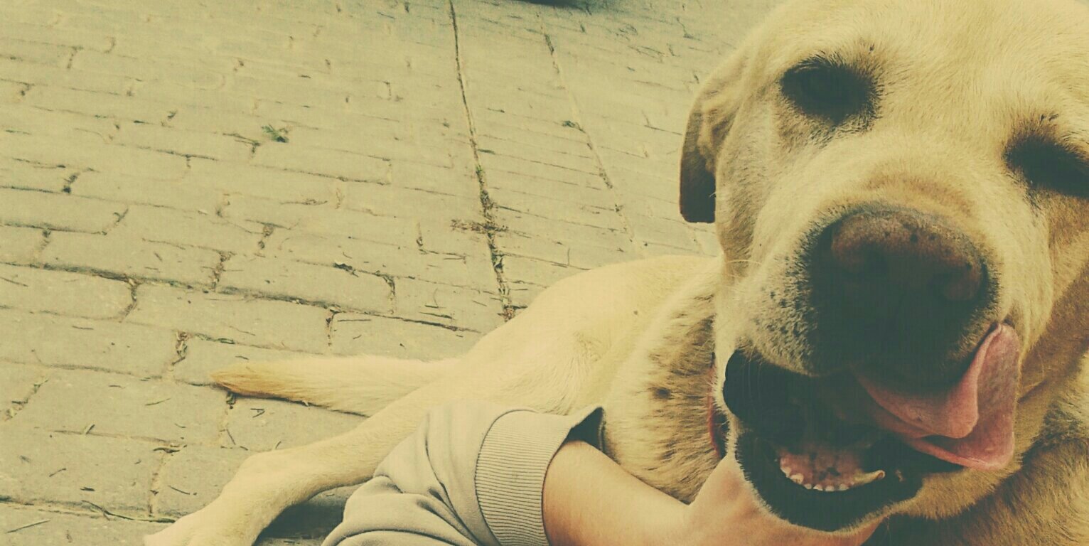 apphotography_'s profile banner image