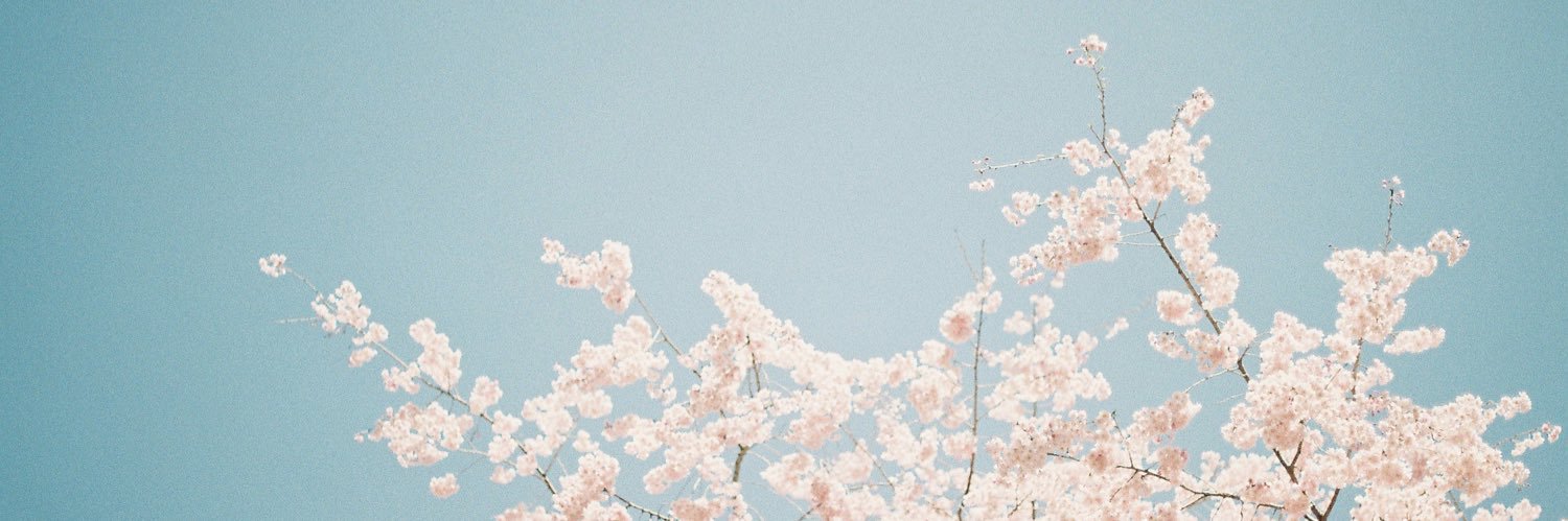 macya_0412's profile banner image