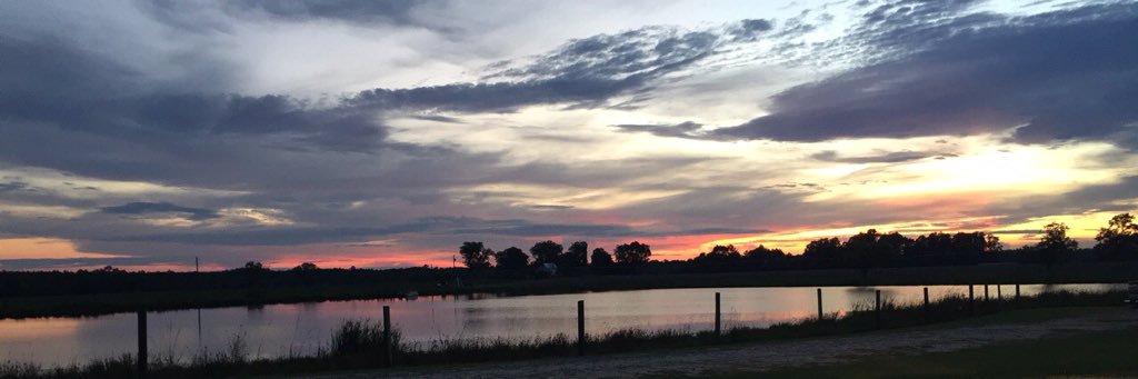 Jaynabeech's profile banner image