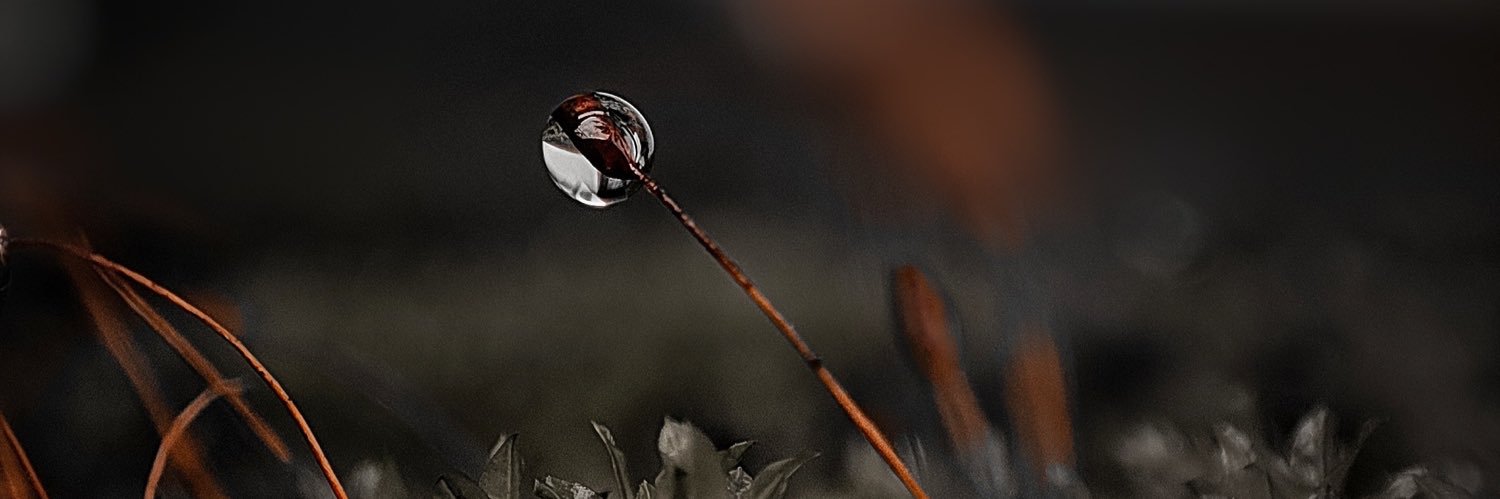 iamnewedia's profile banner image