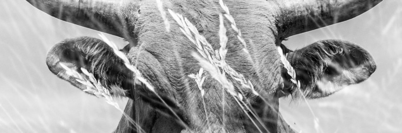ALA_Mike's profile banner image