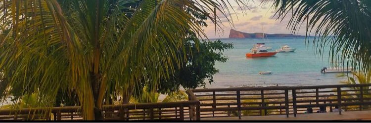 EmilyDvg's profile banner image