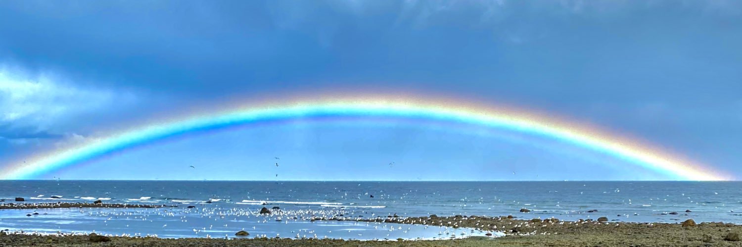 Steve Mcbeth🇨🇦 banner