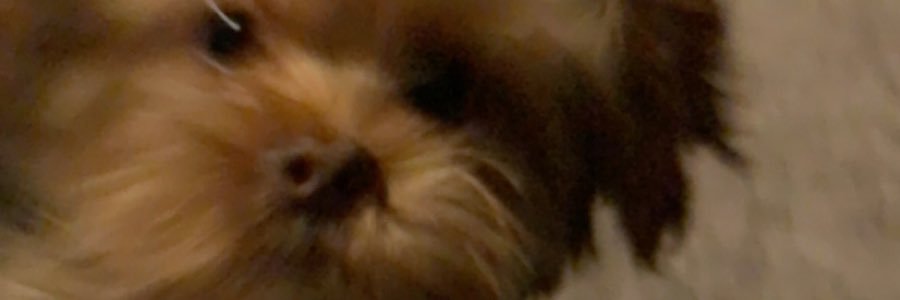 he11jess's profile banner image
