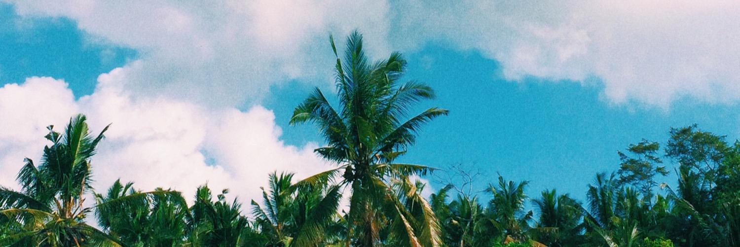 nittami's profile banner image