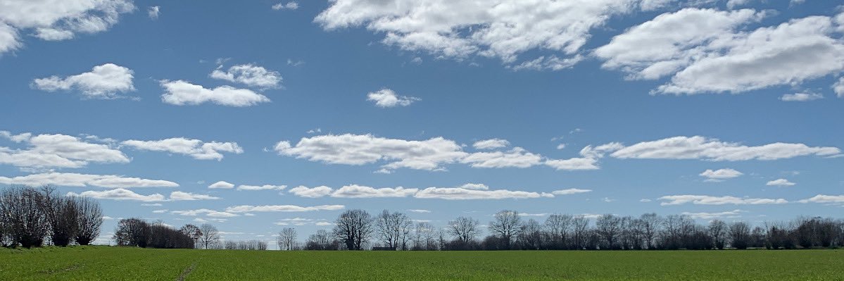 Benjamin_3_3's profile banner image