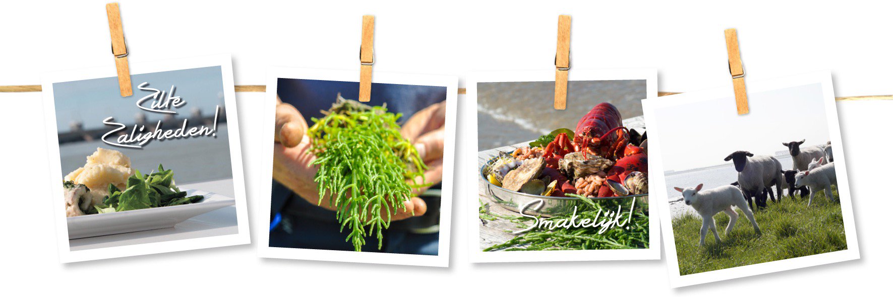 Proef&Beleef Zeeland banner