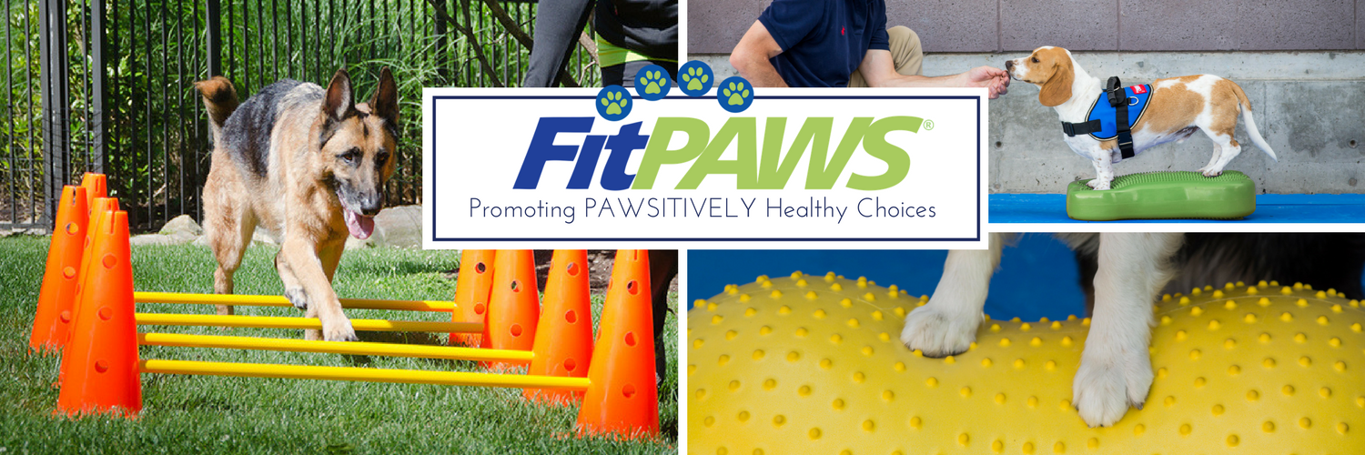 FitPAWSUSA's profile banner image