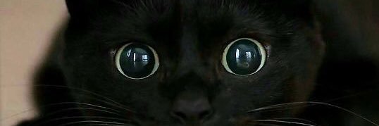 soud84's profile banner image