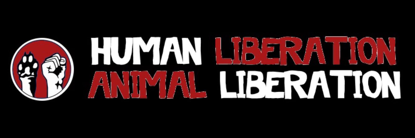 Simon Naylor 🌱 banner