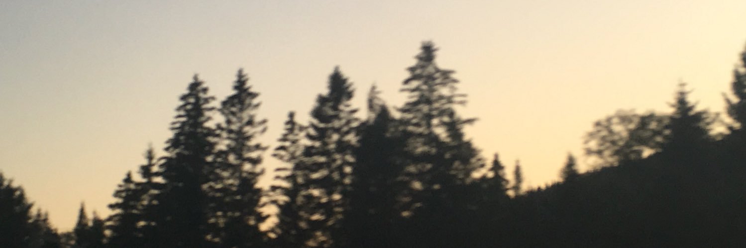 juliagvez's profile banner image