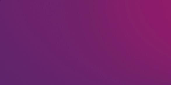 Bia Figueiredo banner