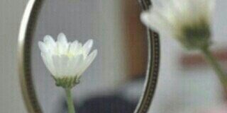 asfoorah44's profile banner image