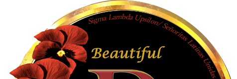 SLUBetaChapter's profile banner image