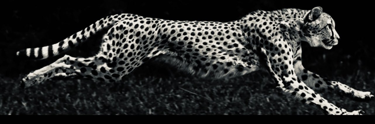 AlFahadVi's profile banner image