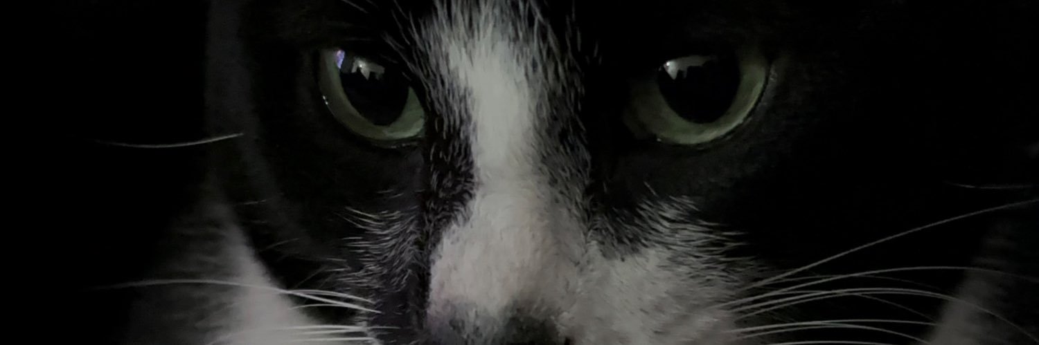 marikaroldan's profile banner image