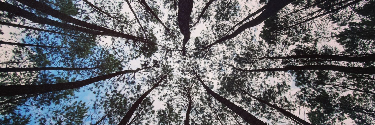 asgart_hunt's profile banner image