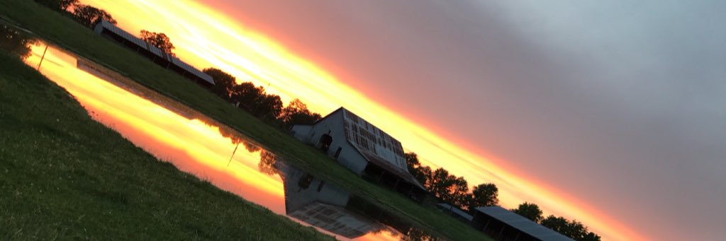 chandlercoates's profile banner image