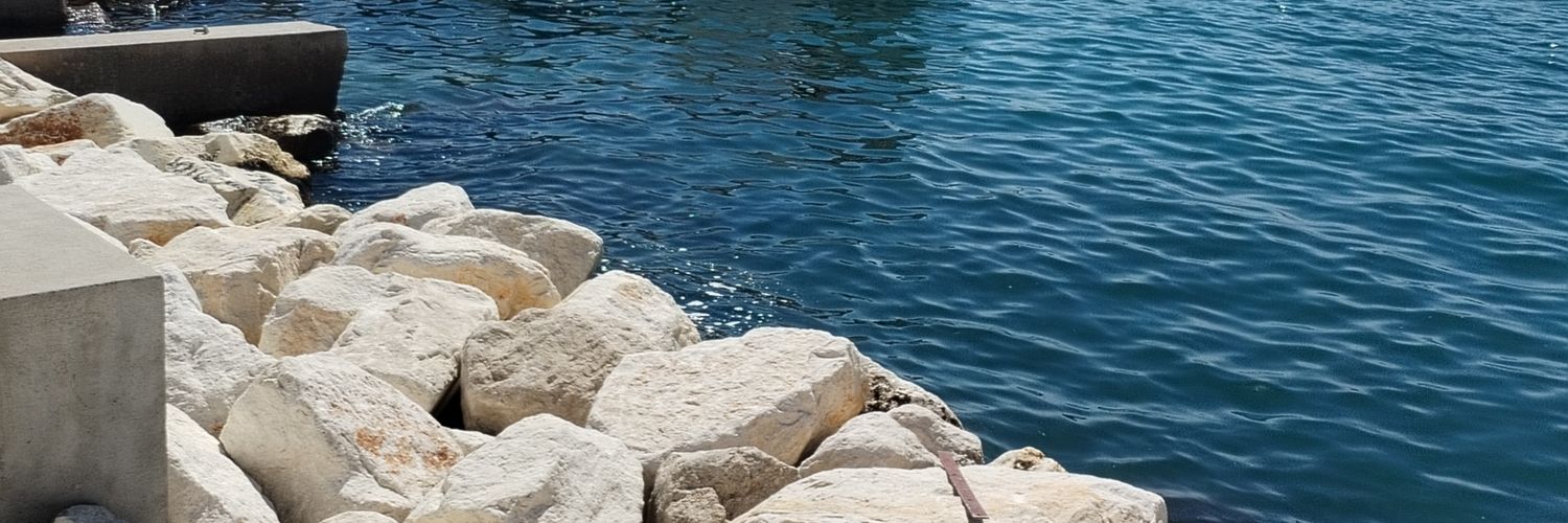 Minitoile's profile banner image