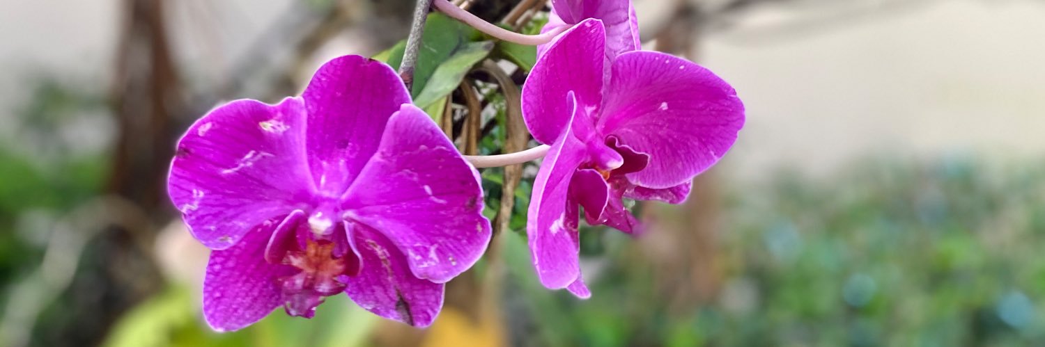 M_Chalasani's profile banner image
