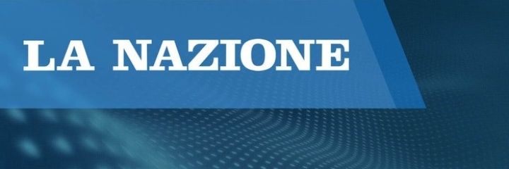 Agnese Pini banner