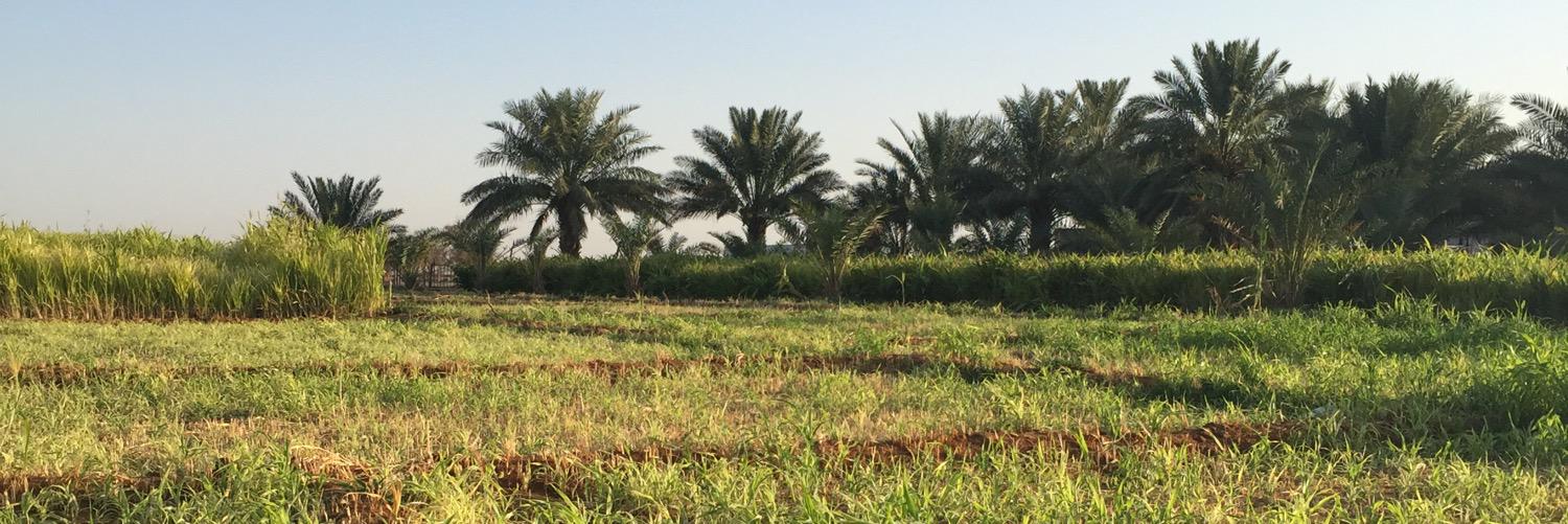 bin_saud79's profile banner image