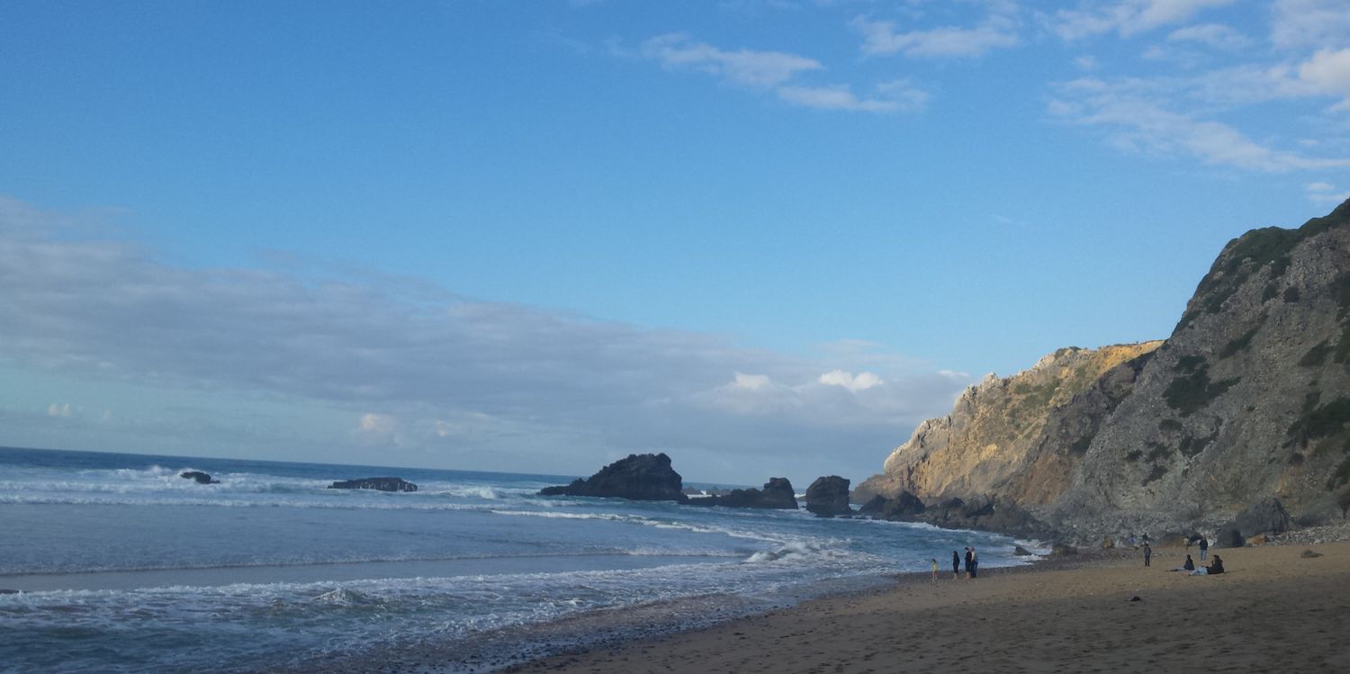 Cindy Webster banner