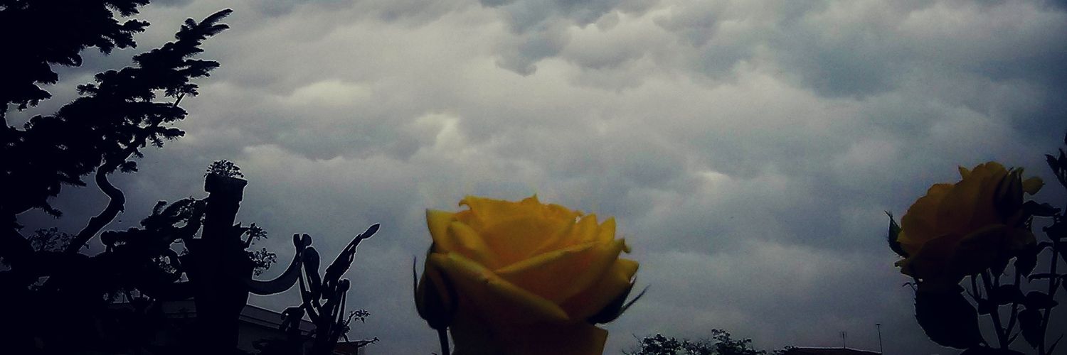 VaneFarreny's profile banner image