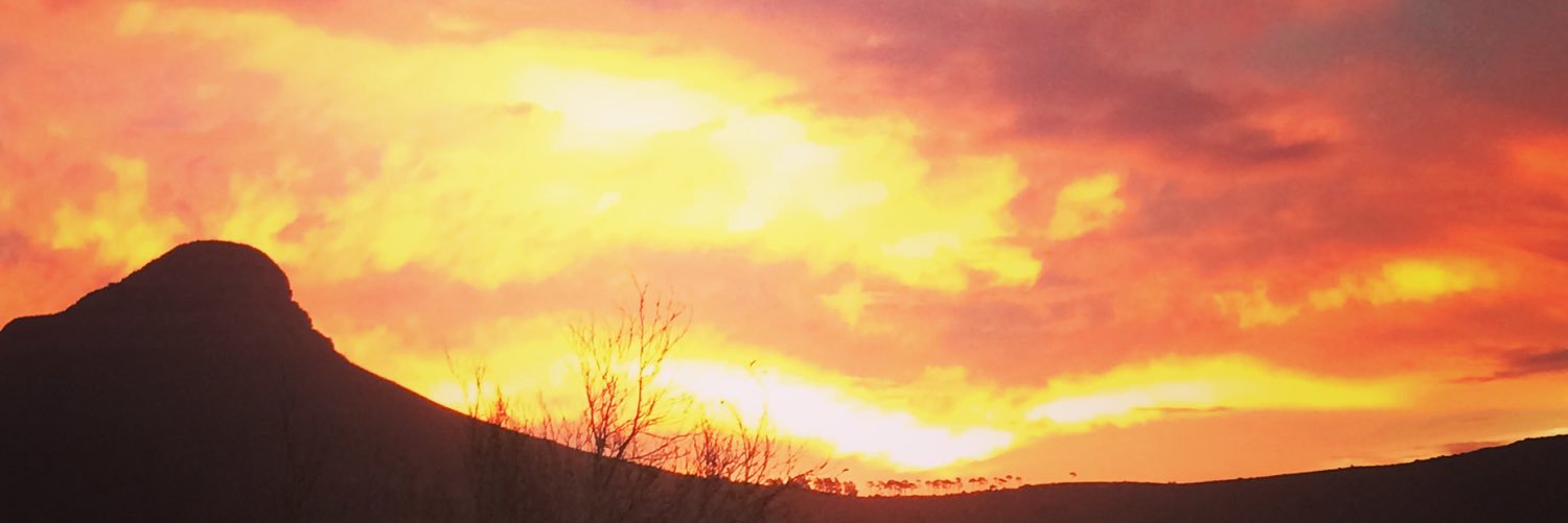 meg_judd's profile banner image