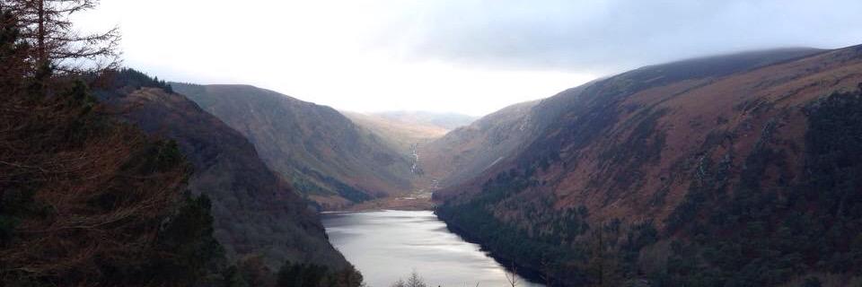 Charlotte Prince banner