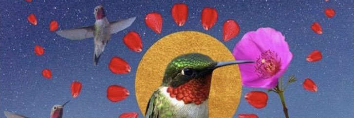DrMEnciso's profile banner image