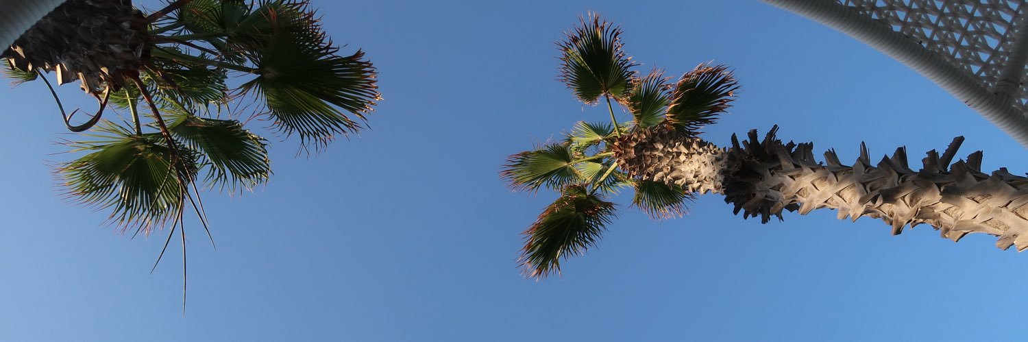 dulceavilap's profile banner image