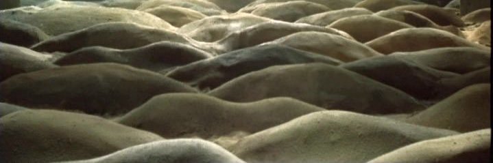 Hayden banner