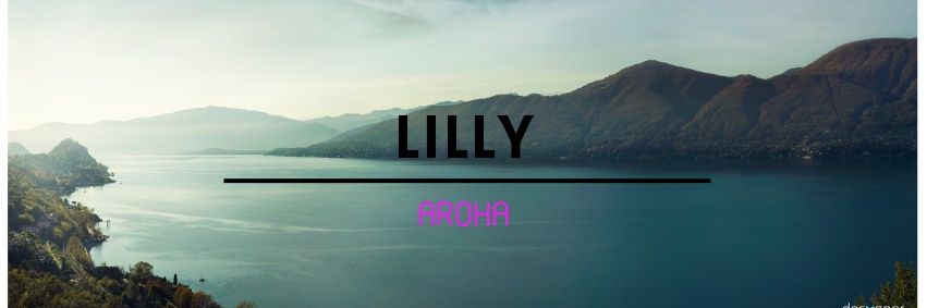 LillyAroha's profile banner image